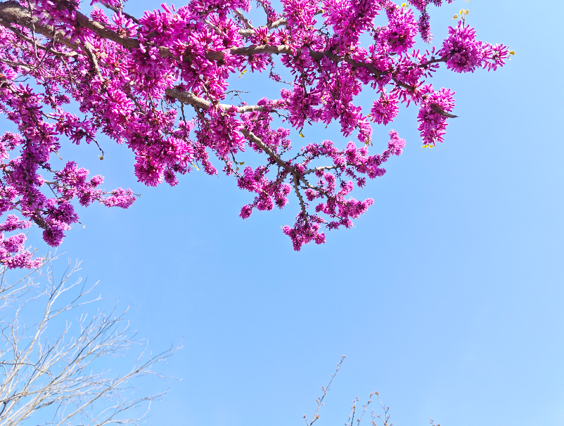 QQ20250415-160923.png