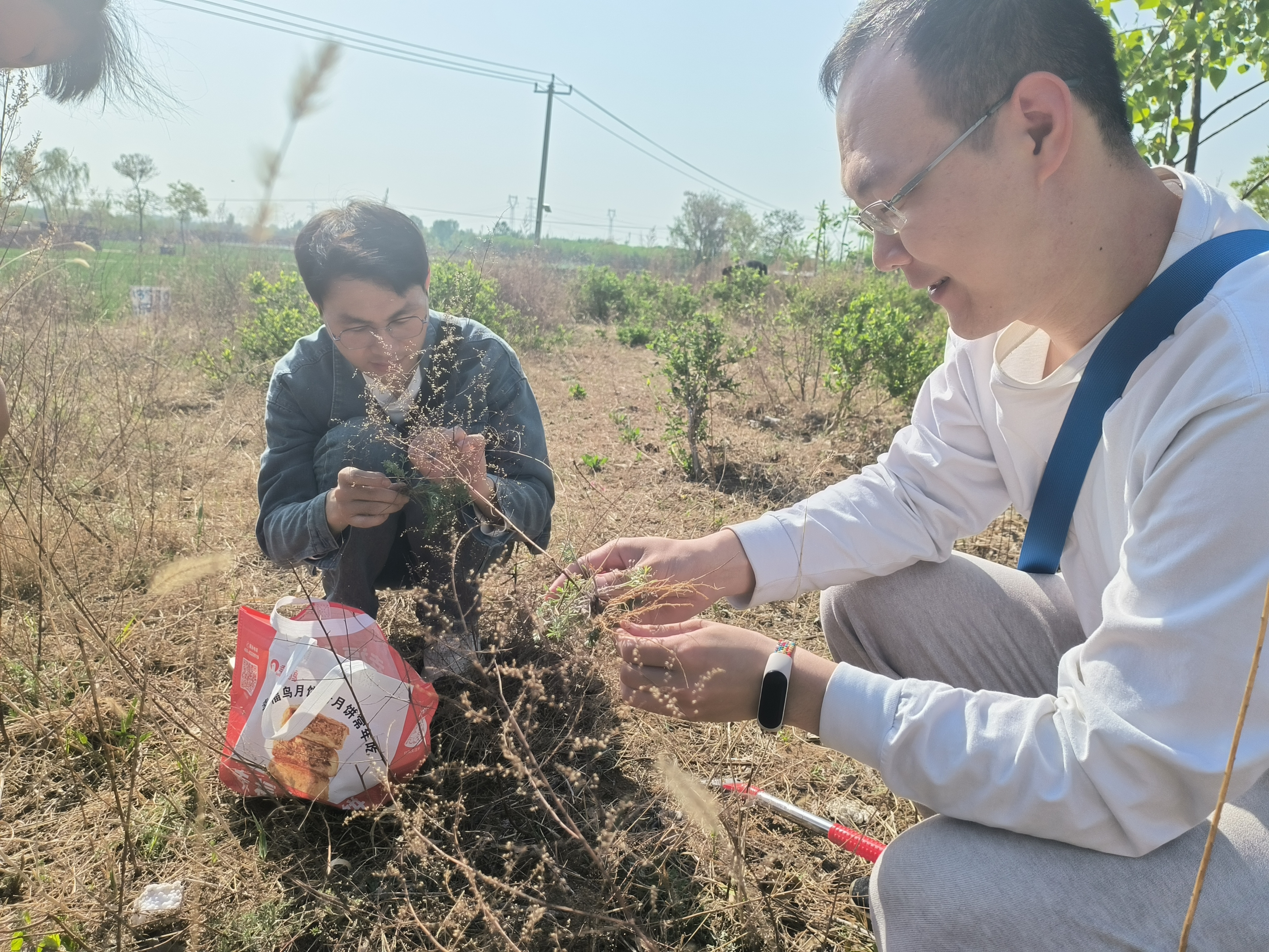 踏春寻药觅瑰宝，古法炮制传匠心 (4).jpg