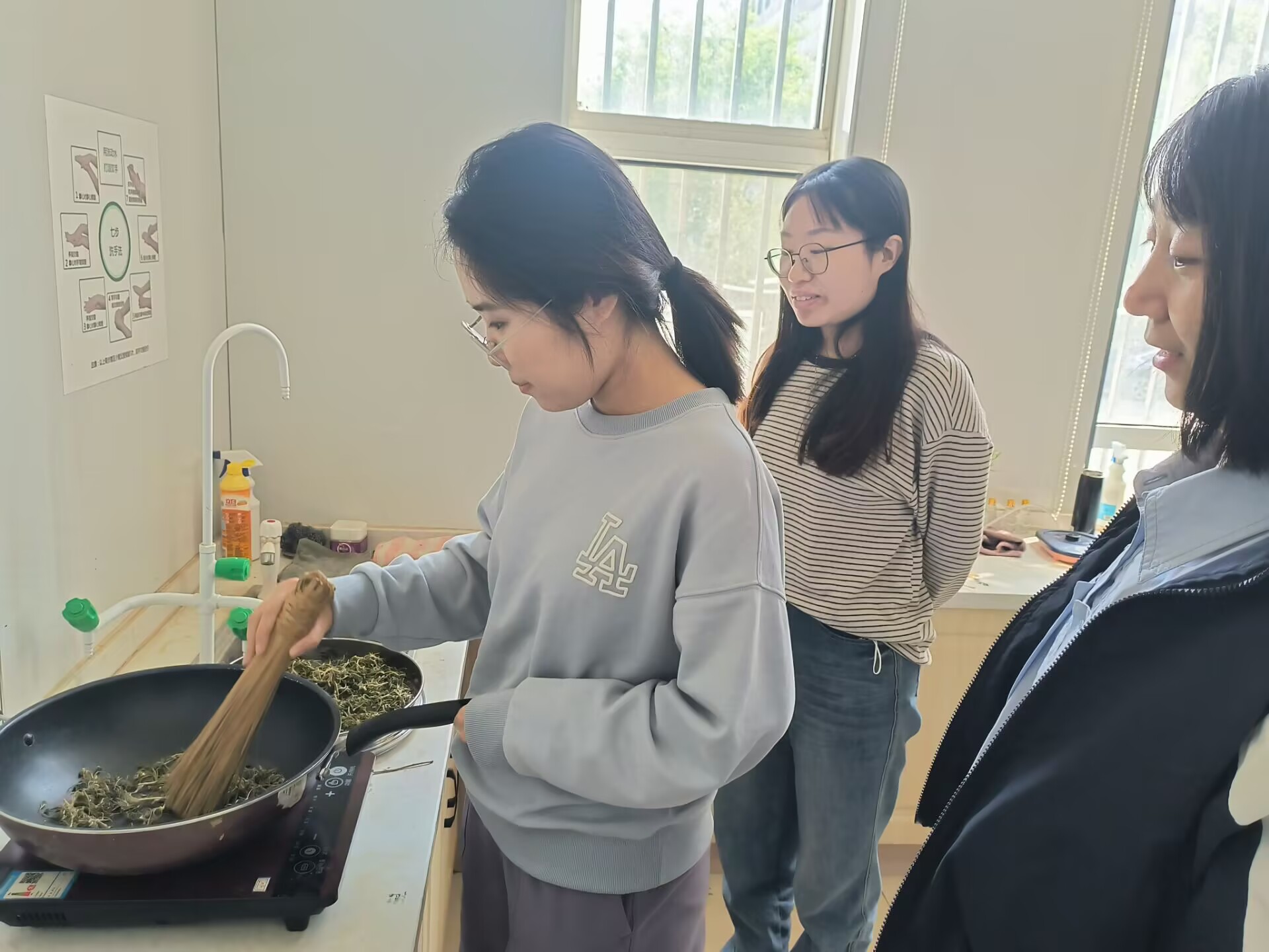 踏春寻药觅瑰宝，古法炮制传匠心 (1).jpg