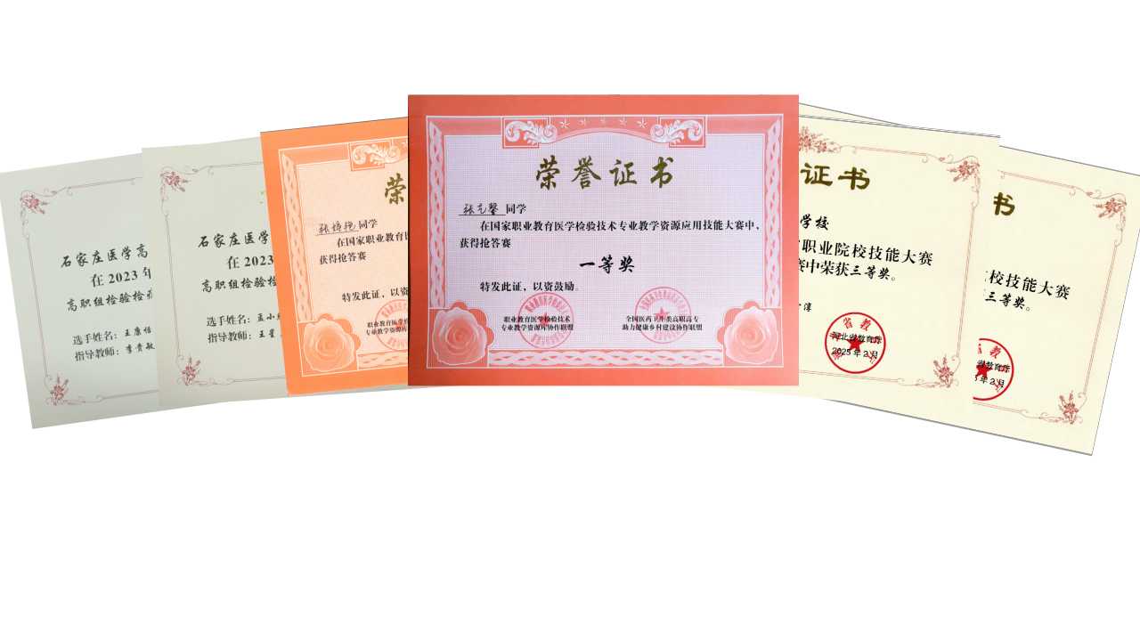 图13-学生参赛获奖证书集锦.jpg