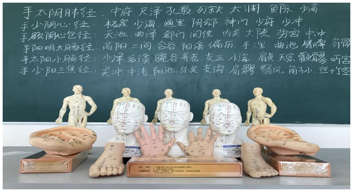 图6针灸推拿实训项目.jpg