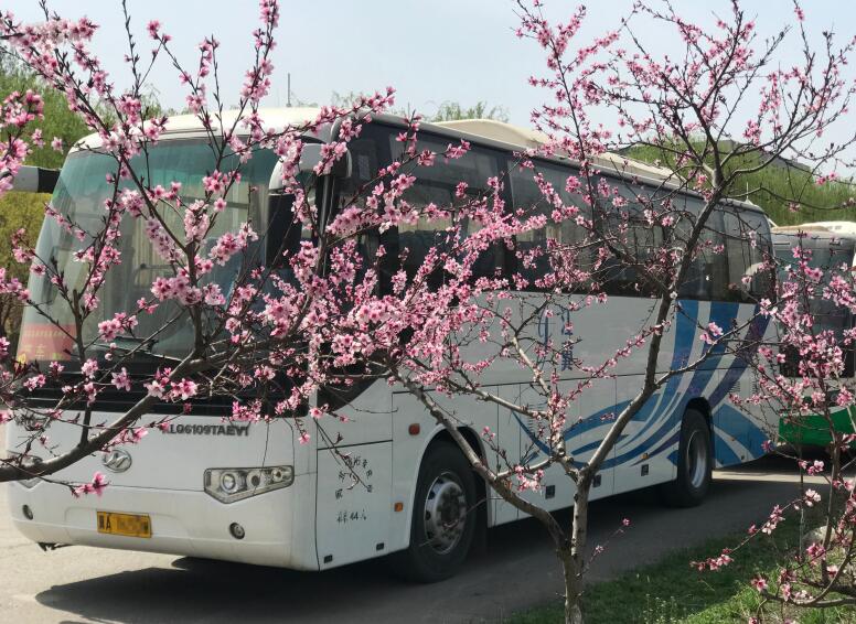 99.jpg