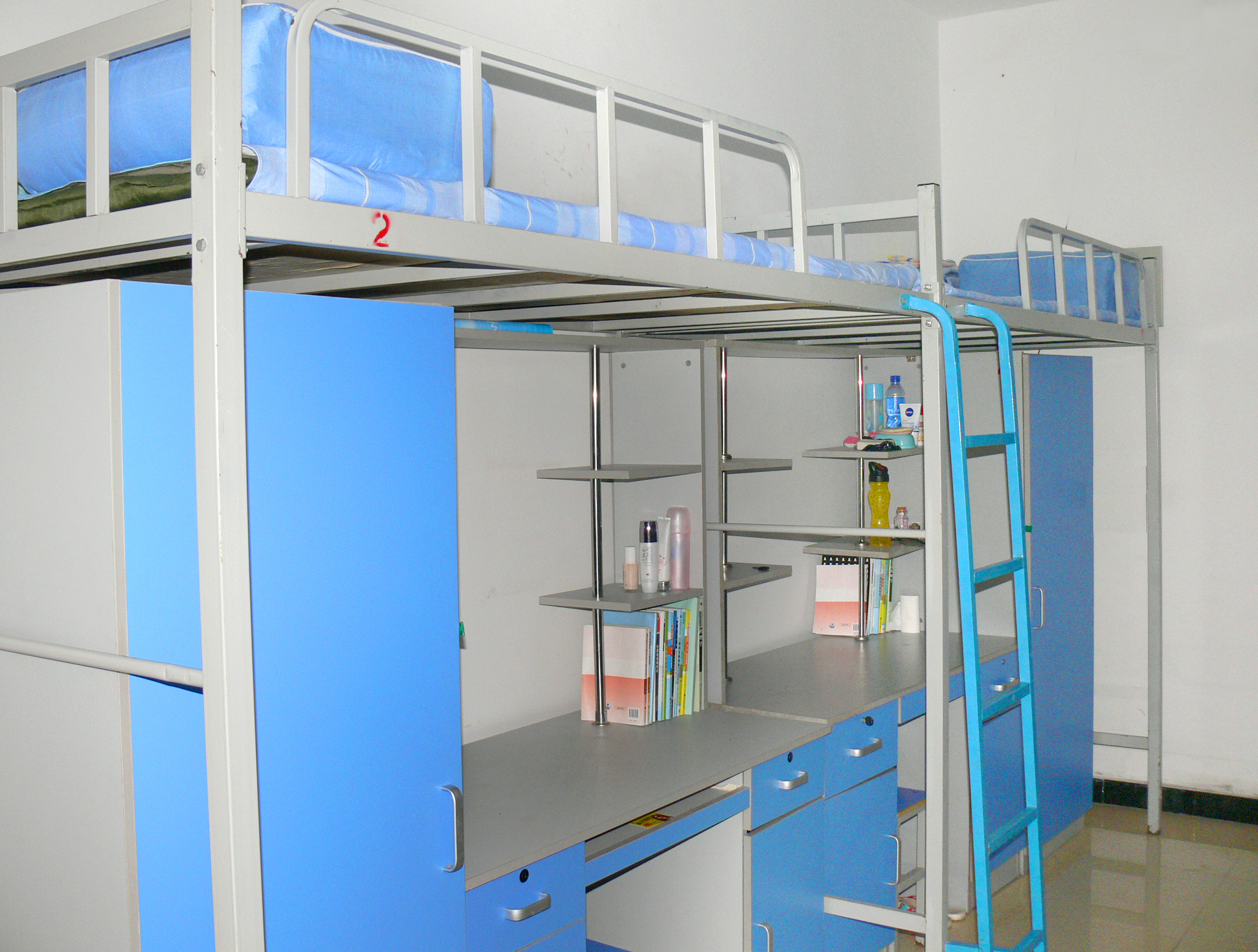 P1550850.jpg